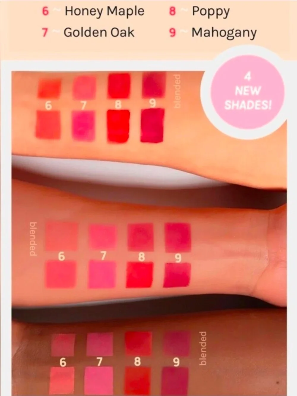 Blush Bundle - AOA Studio Cream Blush, Liquid Blush, B Pure Serum Blush + More